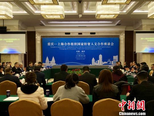 上海合作组织国家与中国重庆谈合作 跨境通道受关注