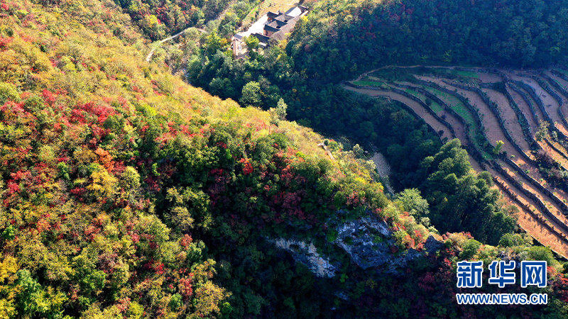 湖北南漳：層林盡染秋色美