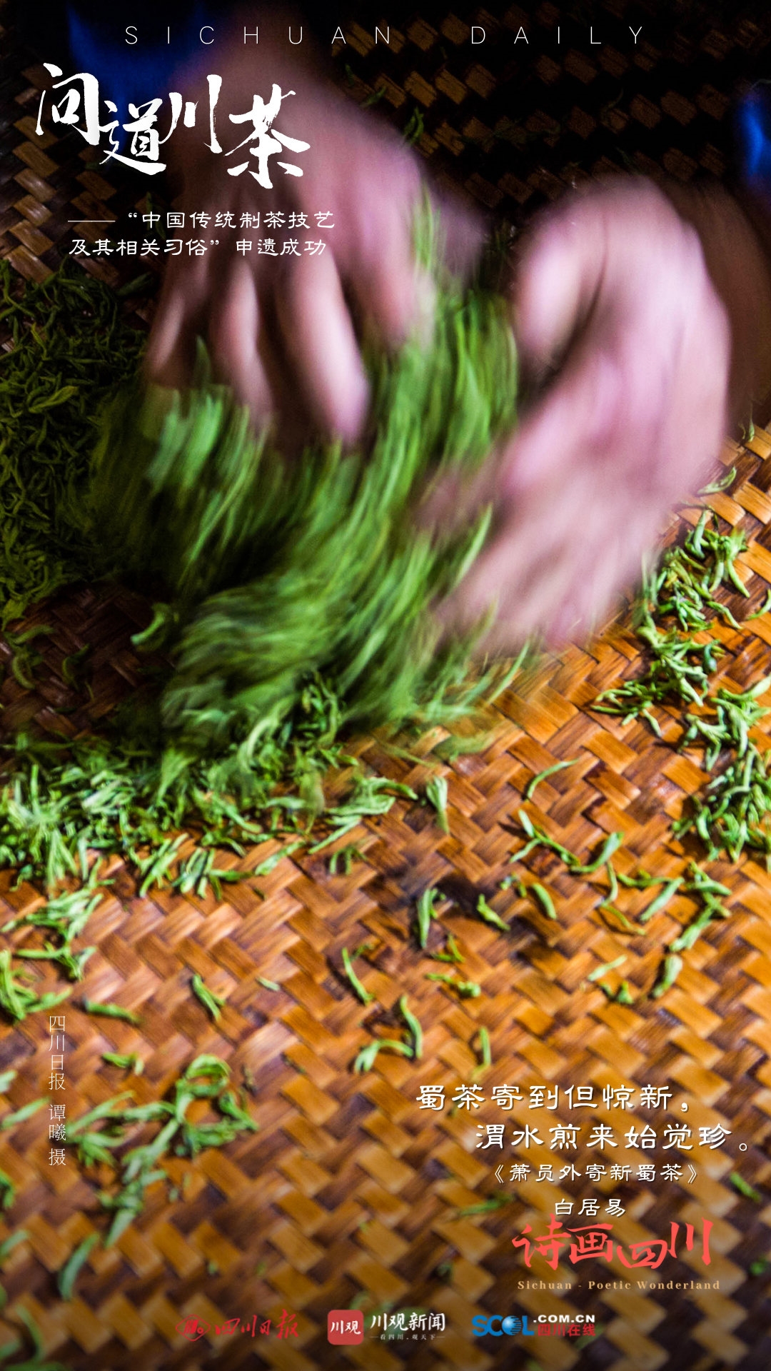 （转载）诗画四川｜ 问道川茶——中国传统制茶技艺及其相关习俗申遗成功