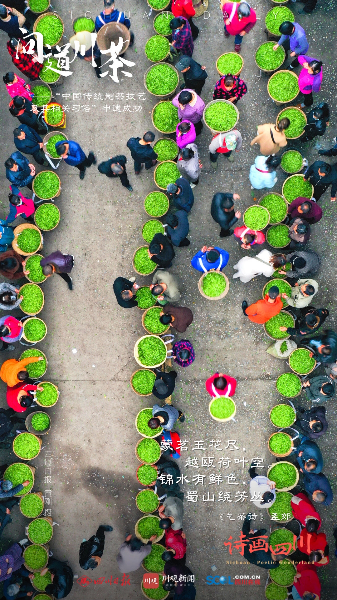 （转载）诗画四川｜ 问道川茶——中国传统制茶技艺及其相关习俗申遗成功