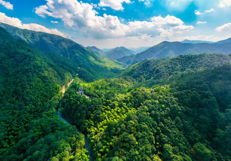 福建武夷山：創新驅動，打造生態文明新高地