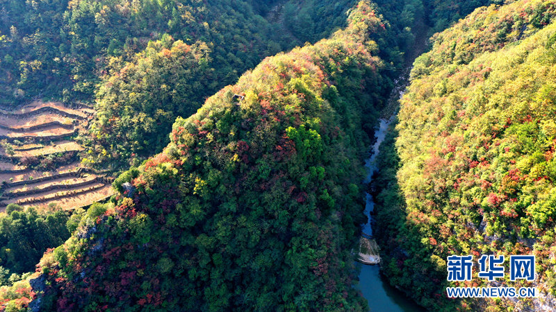 湖北南漳：層林盡染秋色美