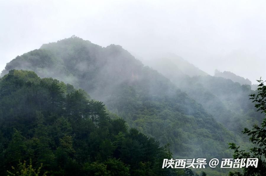 烟雨中的汉江源 雾气氤氲 宛如水墨画