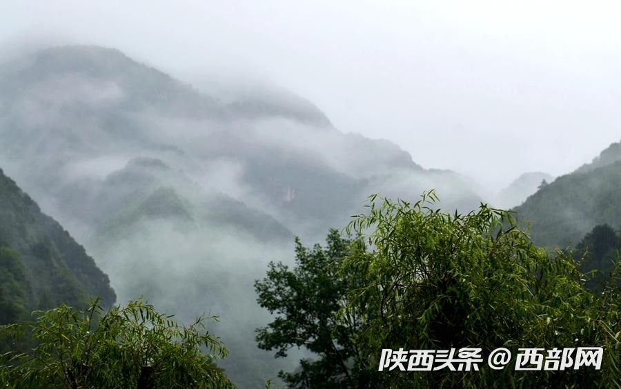 烟雨中的汉江源 雾气氤氲 宛如水墨画