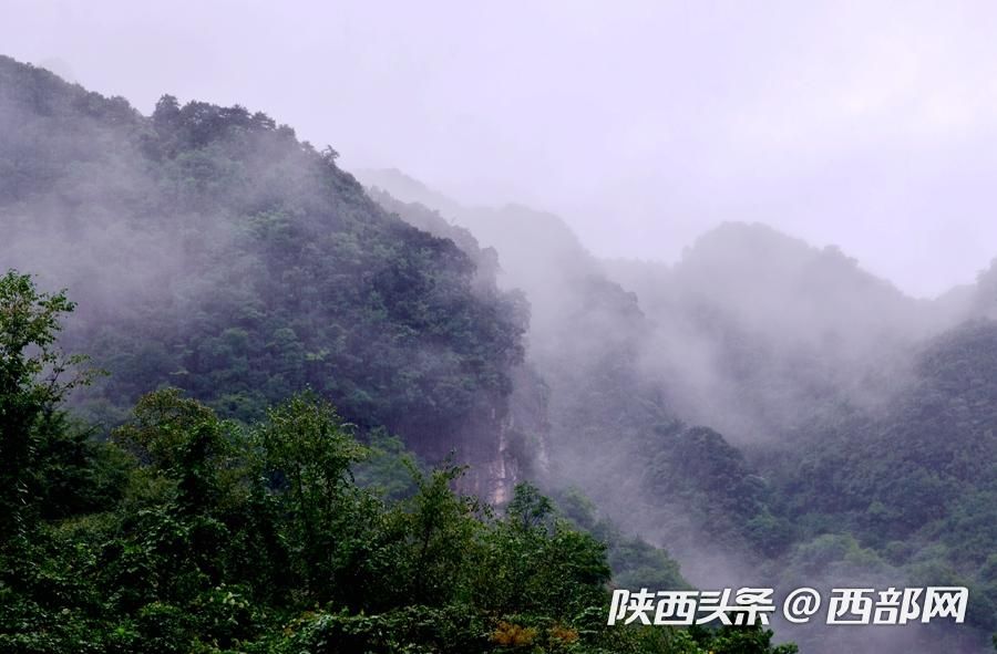 烟雨中的汉江源 雾气氤氲 宛如水墨画