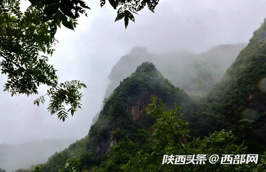 烟雨中的汉江源 雾气氤氲 宛如水墨画