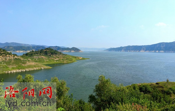 Luoyang's 49.7-Thousand-Hectare Wetlands to Enter the Best Season for Bird Watching_fororder_00300606228_3c80c0ec