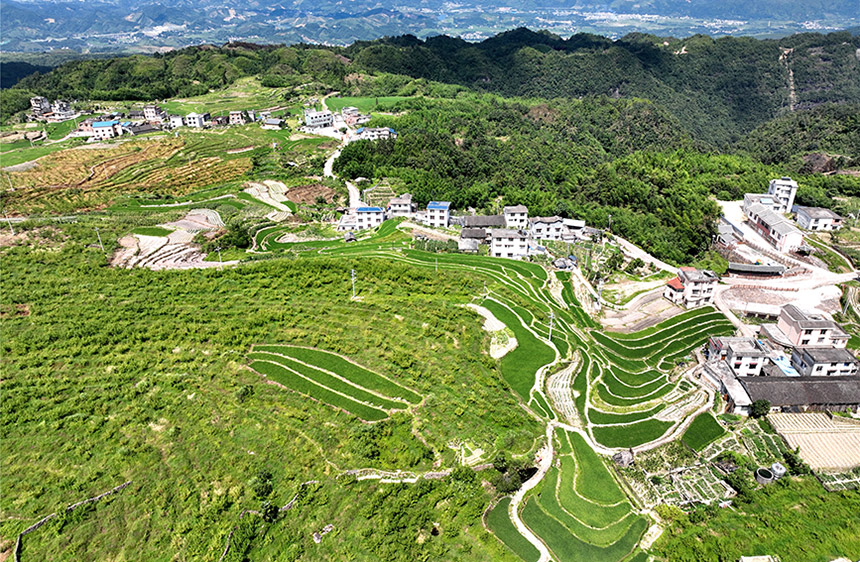 广西金秀：瑶寨“旅游饭”越吃越香