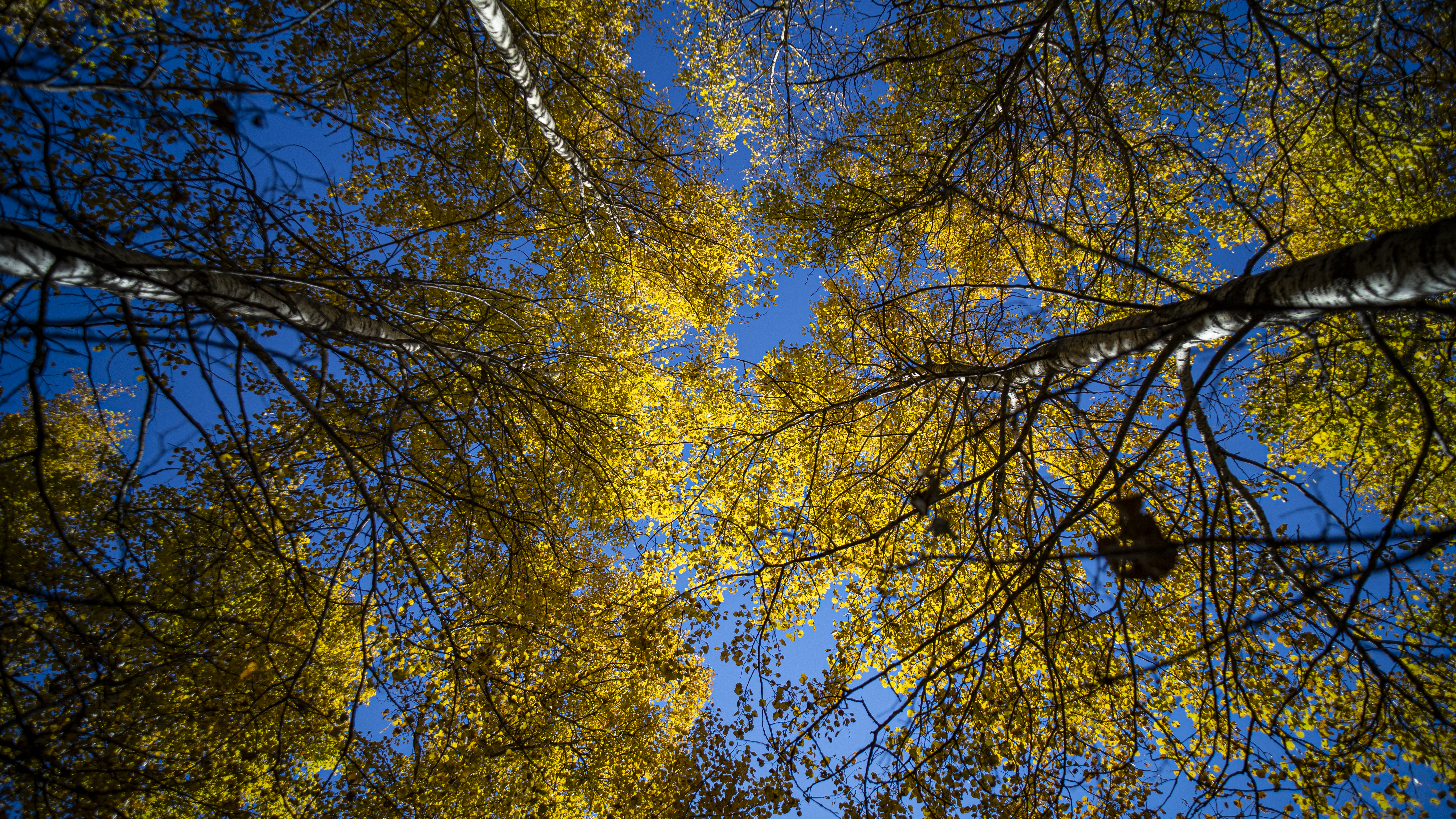 内蒙古阿荣旗：晚秋，登图博勒峰_fororder_17