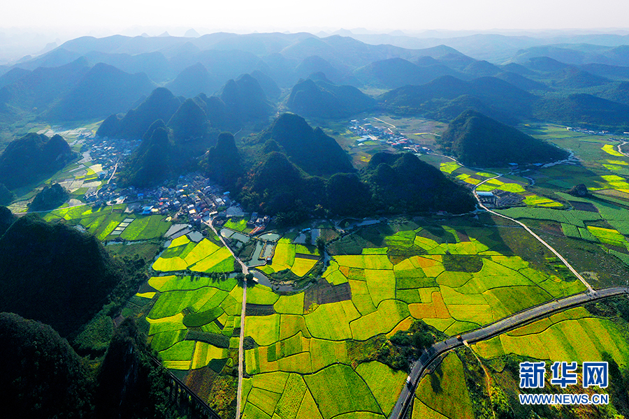 广西柳州：田园画卷里的“振兴之路”