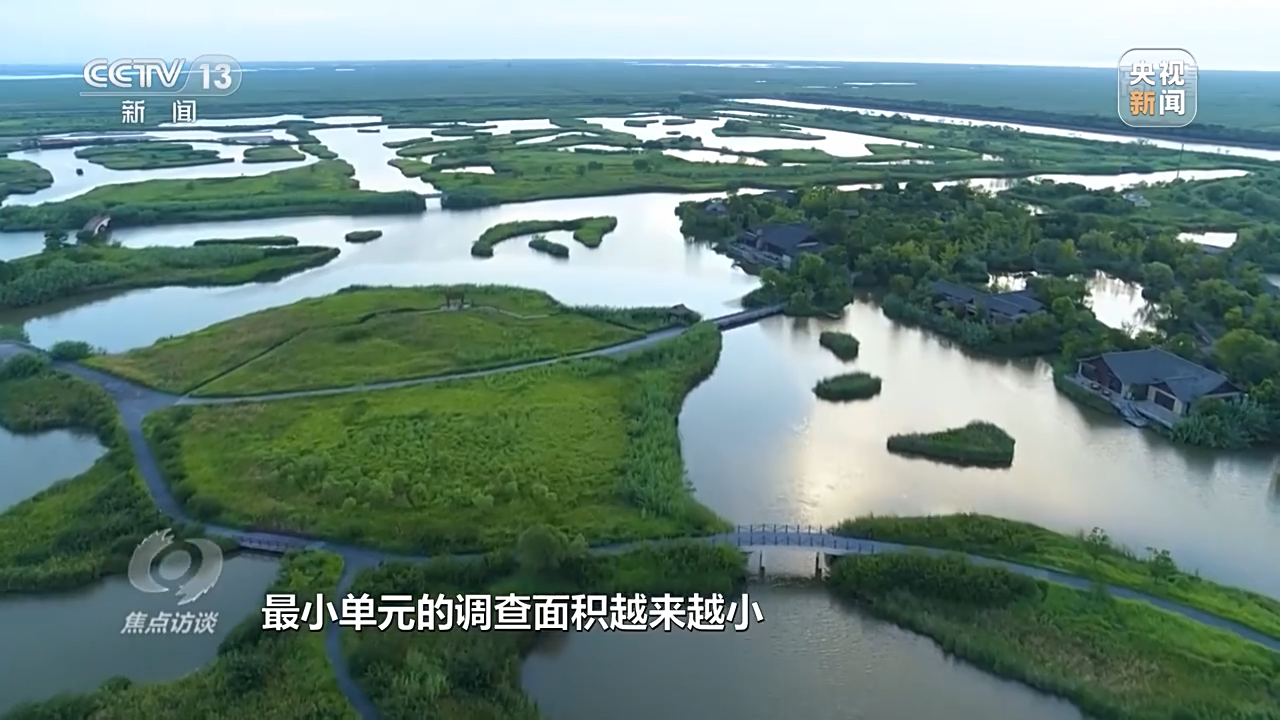 焦点访谈丨珍爱湿地 守护未来