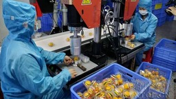 韶山海关助力糖果企业抢占欧洲节日市场