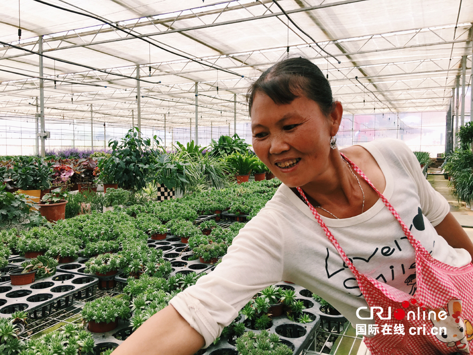 【人权纪实贵州行】新时代贵州"农民工":在家乡打工的幸福生活