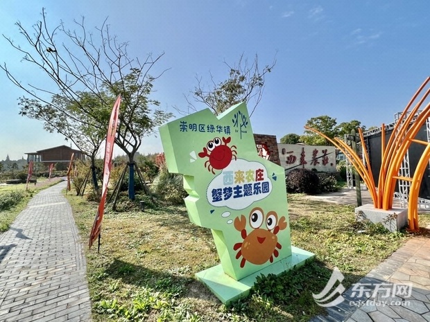 【品牌商家】又到橘黄蟹肥时 上海崇明清水蟹等你来“拔草”
