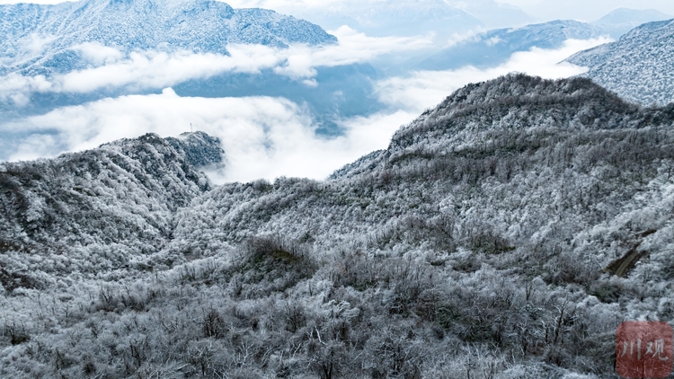 （转载）玉树琼枝裹银装 绵阳千佛山成冰雪仙界