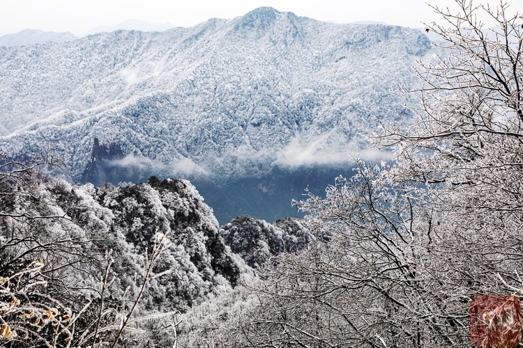 （转载）玉树琼枝裹银装 绵阳千佛山成冰雪仙界