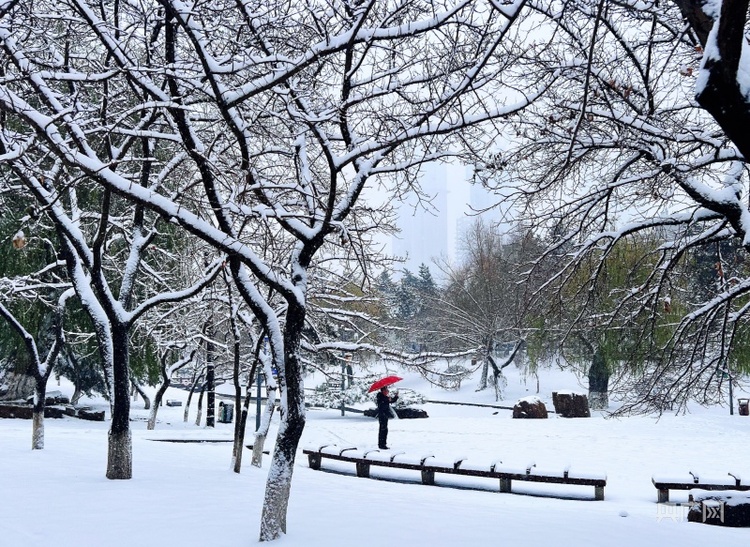 吉林省：雪后初霁又迎气温新低_fororder_e7adc72ef0afb166830515118082209911