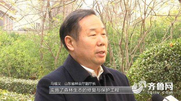 践行“两山”理论 推动美丽山东建设迈出新步伐