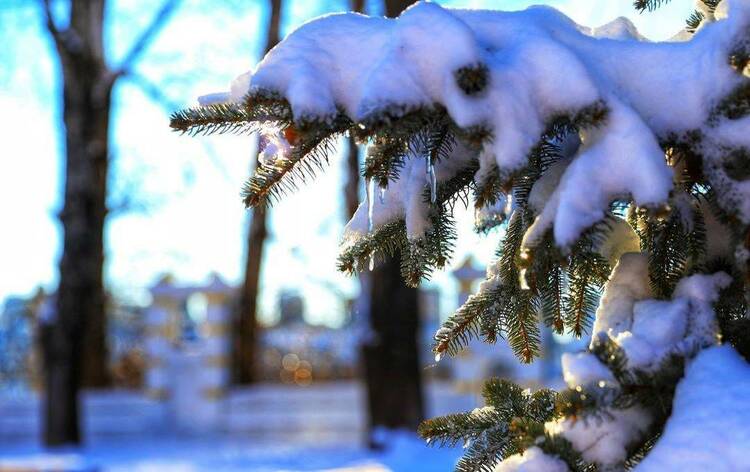 来这里看飘雪的黑龙江