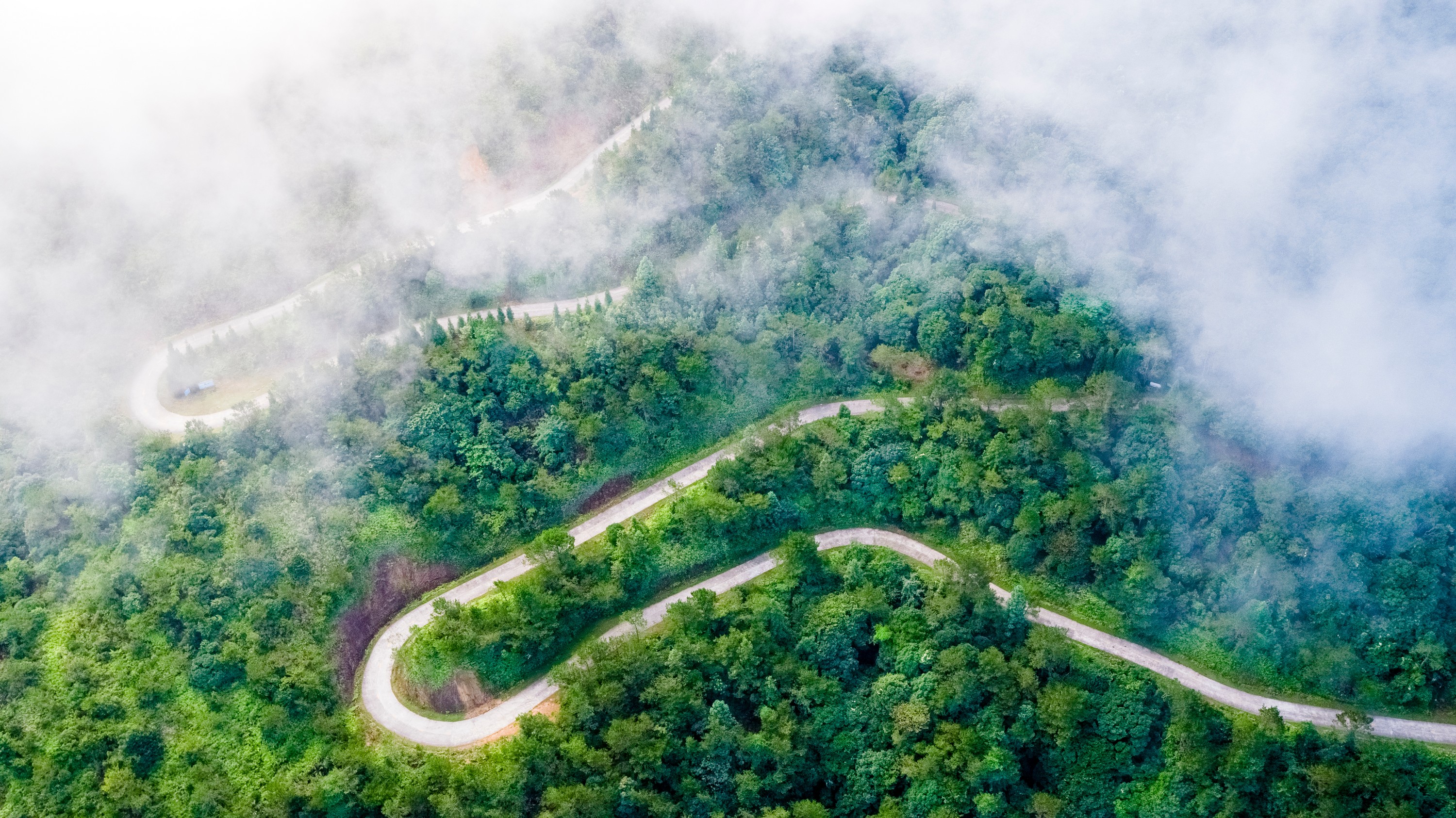 这3座国家森林城市美如画