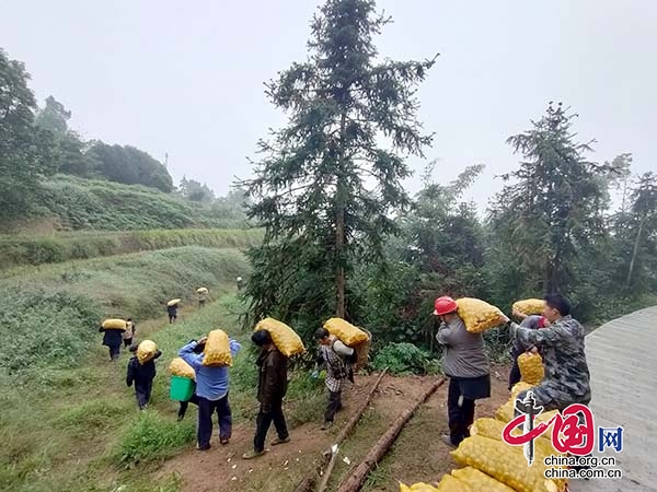 （轉載）瀘州合江：喚醒“撂荒地” 繪就鄉村振興美景