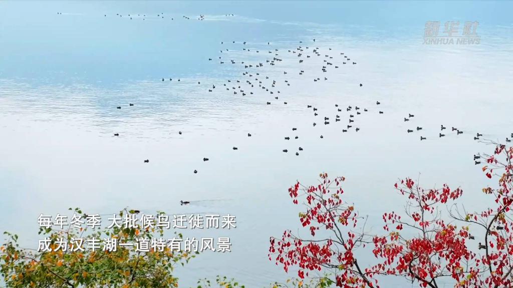 重慶開州：保護一湖碧水 發展綠色經濟