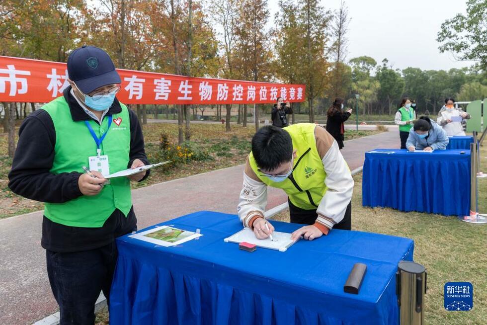 【聚焦上海-滚动图】上海举行林业有害生物防控岗位技能竞赛_fororder_1