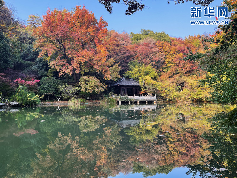 层林尽染 栖霞胜景宛若彩绘