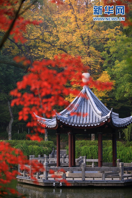 层林尽染 栖霞胜景宛若彩绘