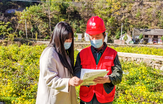 【原创】国网卢氏县供电公司：  优服务 强保障 “满格电”铺就皇菊产业金光大道_fororder_服务队现场讲解合理化用电和安全用电-摄影-宁岩