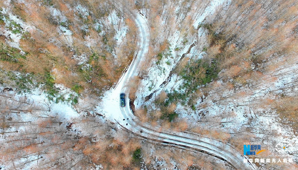 【渝情渝景】重庆猫儿背 冬季枯木遇上初春白雪