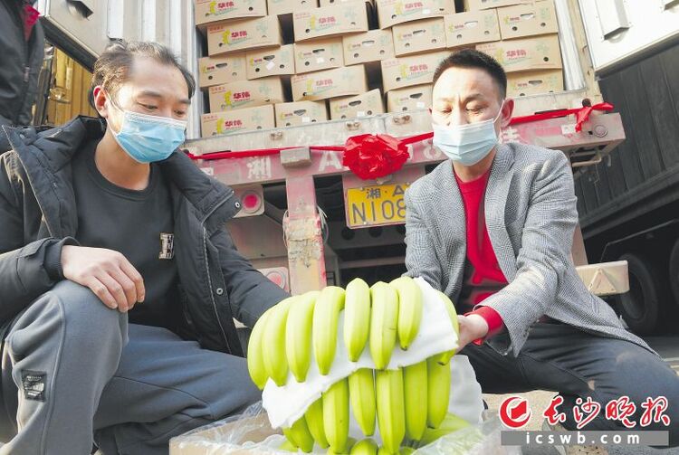 500吨老挝香蕉抢“鲜”抵达长沙_fororder_1