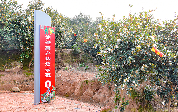 共谋油茶发展前景四川省油茶产业发展现场推进会在自贡荣县举行
