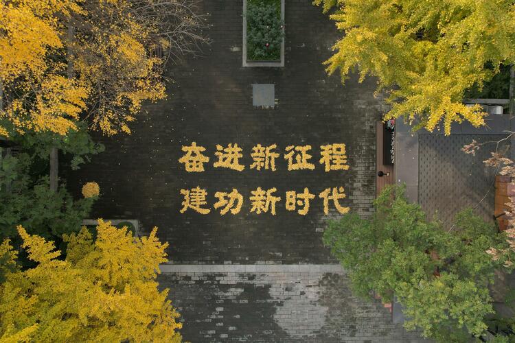 （转载）西安城墙网红银杏叶景观搬上“云端”
