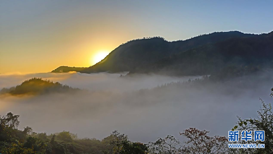 湖北鄖西：雲海“峰”景美如畫