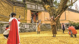无锡进入最佳赏叶期美成画