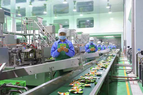 第十三屆中國泡菜食品國際博覽會將於11月27日至29日在眉山舉行_fororder_泡菜工人在作業-供圖-眉山市委宣傳部