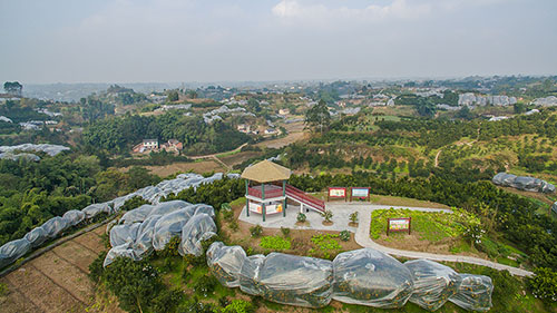 自贡市荣县产业兴旺助推乡村振兴鼓足农民钱包