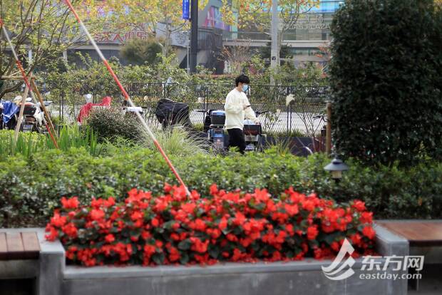 【文化旅游】雷士德工学院焕彩新生 标志性草坪花园破墙开放