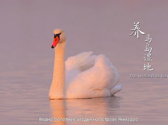 图片默认标题_fororder_1671092131798