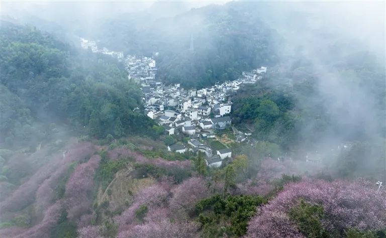 世界的黃山 黃山的世界——由春之中國屯溪“國際會客廳”到冬之黃山市國際高端“1+6”圓桌對話會的回眸_fororder_微信圖片_20221216090127