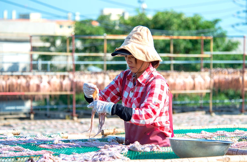 广西北海：渔民出海获丰收“晒海味”