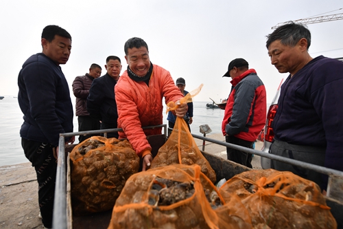 海螺豐收 “美味”增收