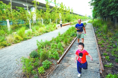 百年鐵路變“綠廊”穿行城市間