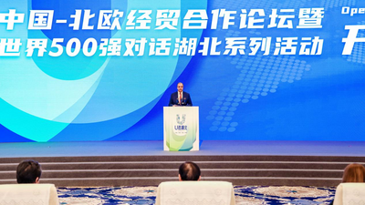 The 2022 China-Nordic Economic and Trade Cooperation Forum and Fortune 500 Dialogue with Hubei Successfully Held in Wuhan