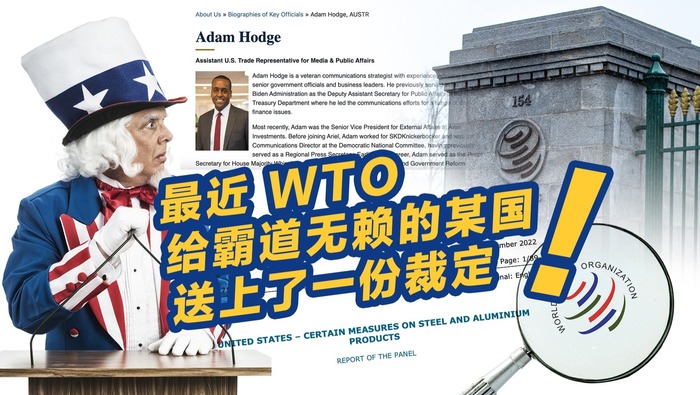 最近 WTO给霸道无赖的某国送上了一份裁定！