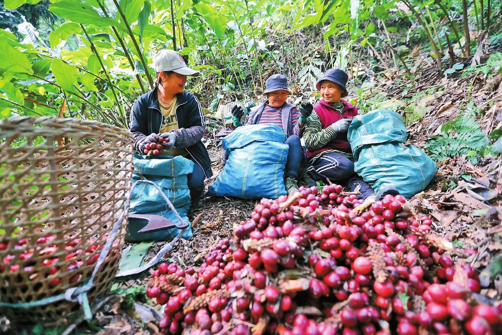 怒江贡山独龙江：守护好边疆 建设好家乡_fororder_d779