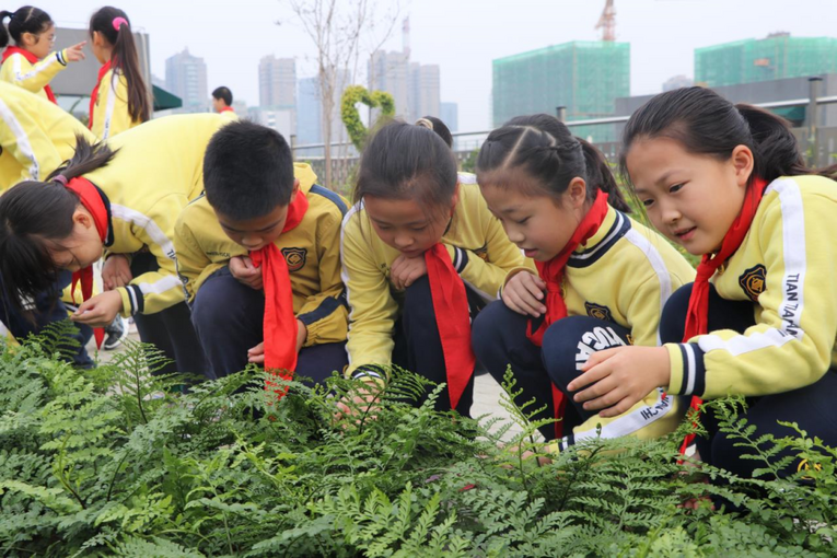 推动中医药材进课堂 杭州育才登云小学建起“百草园”