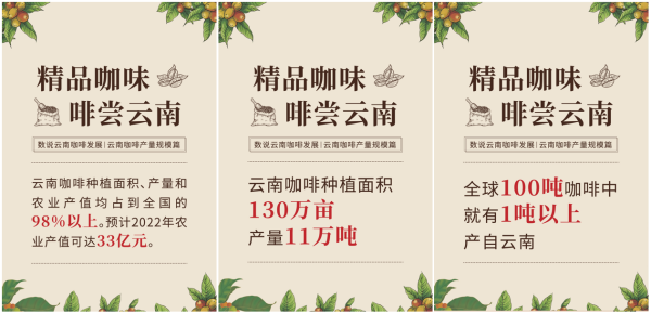 九张海报 纵览云南咖啡产业