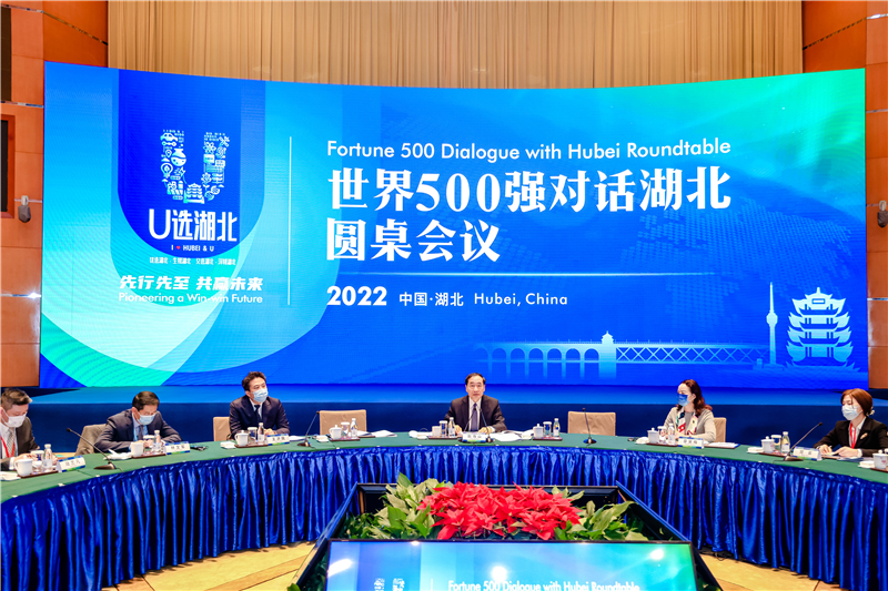 世界500强对话湖北圆桌会议在武汉举行_fororder_图片1